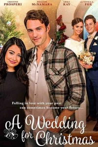 Свадьба на Рождество 